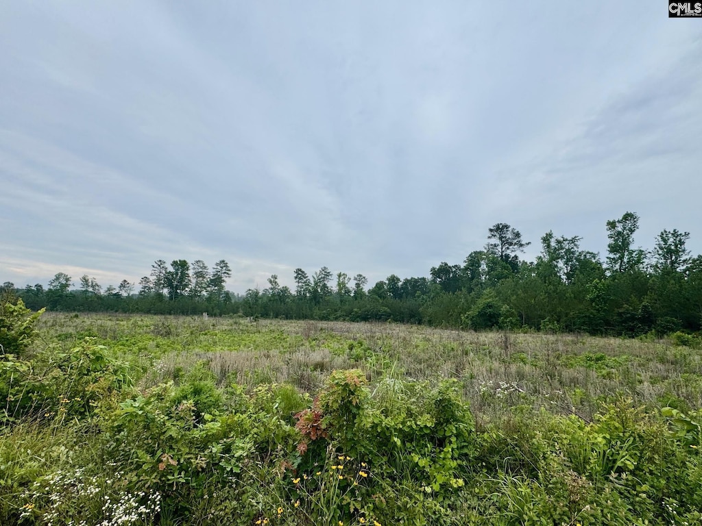Ebb Mack Rd Lot # 6, Saluda, SC 29138