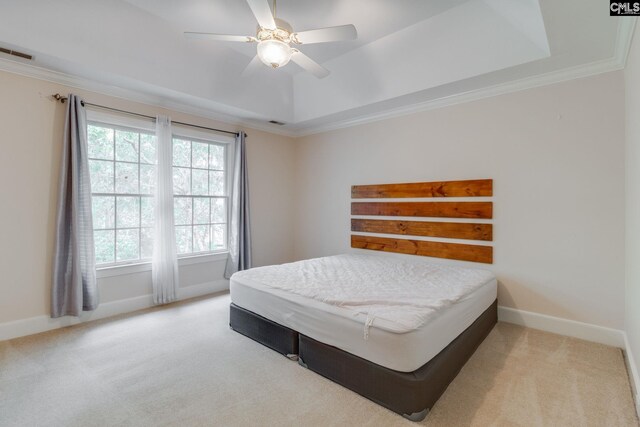 311 Hillridge Way, Columbia, SC 29229 - bedroom featuring light colored carpet, a tray ceiling, baseboards, and crown molding