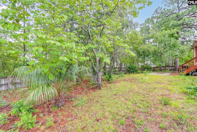 311 Hillridge Way, Columbia, SC 29229 - fenced backyard featuring stairs