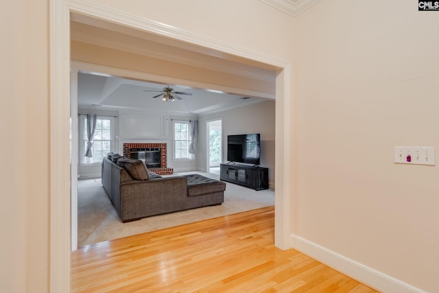 311 Hillridge Way, Columbia, SC 29229 - living area featuring ornamental molding, light wood-type flooring, a fireplace, a ceiling fan, and baseboards