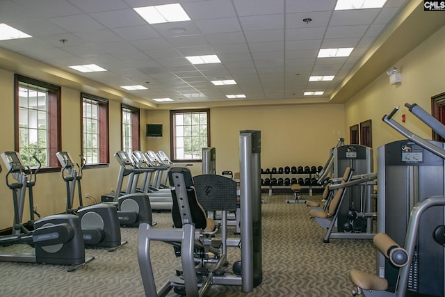 605 Scarlet Baby Dr, Blythewood, SC 29016 - workout area with carpet and a drop ceiling