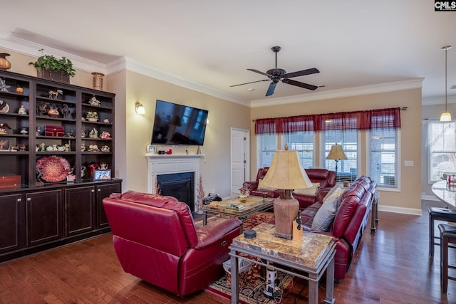 605 Scarlet Baby Dr, Blythewood, SC 29016 - living room with a fireplace, a ceiling fan, dark wood-style flooring, crown molding, and baseboards