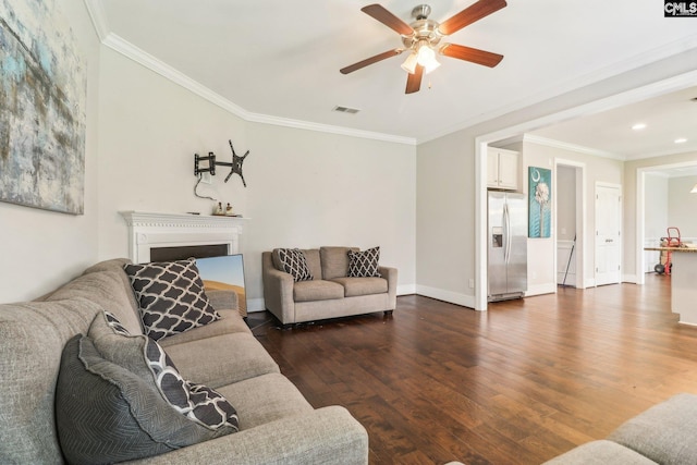 546 Caladium Way, Columbia, SC 29229 - living room with a ceiling fan, dark wood-type flooring, ornamental molding, baseboards, and a fireplace