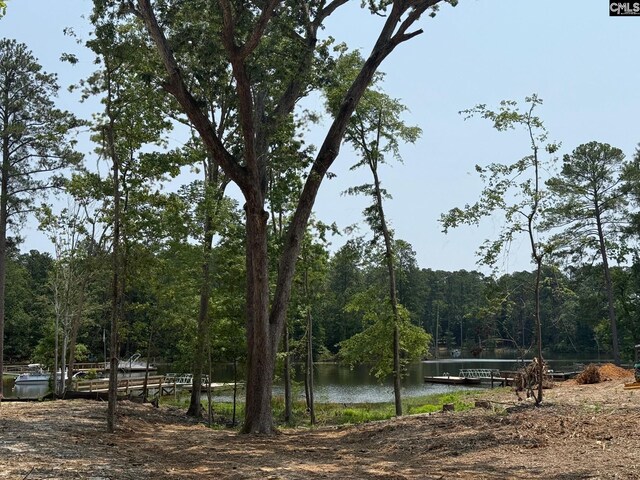 Hanging Oak Rd Unit 12, Prosperity, SC 29127