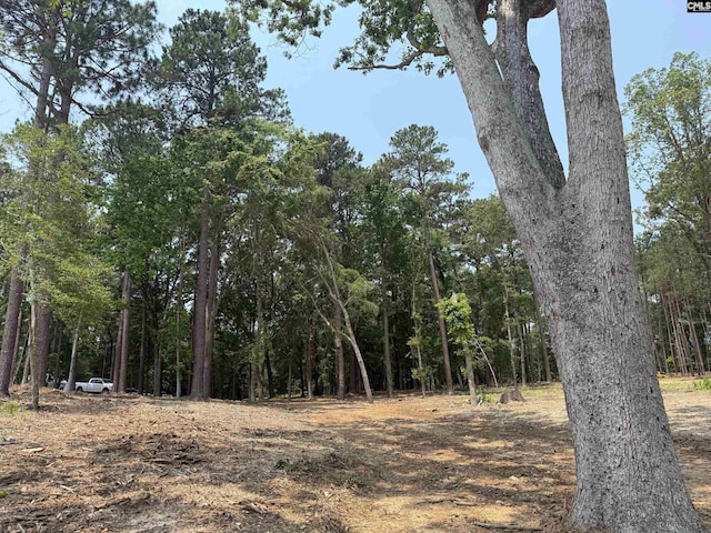 Hanging Oak Rd Unit 12, Prosperity, SC 29127
