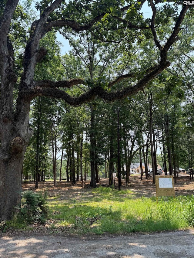 Hanging Oak Rd Unit 12, Prosperity, SC 29127