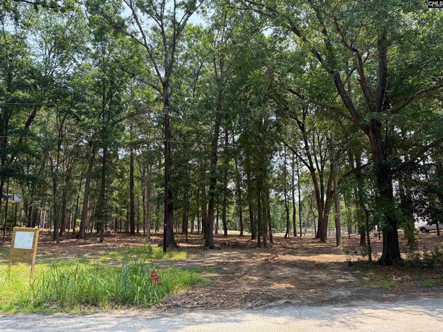 Hanging Oak Rd Unit 12, Prosperity, SC 29127
