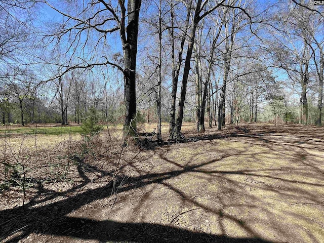 88C Tombfield Rd, Camden, SC 29020 - view of yard