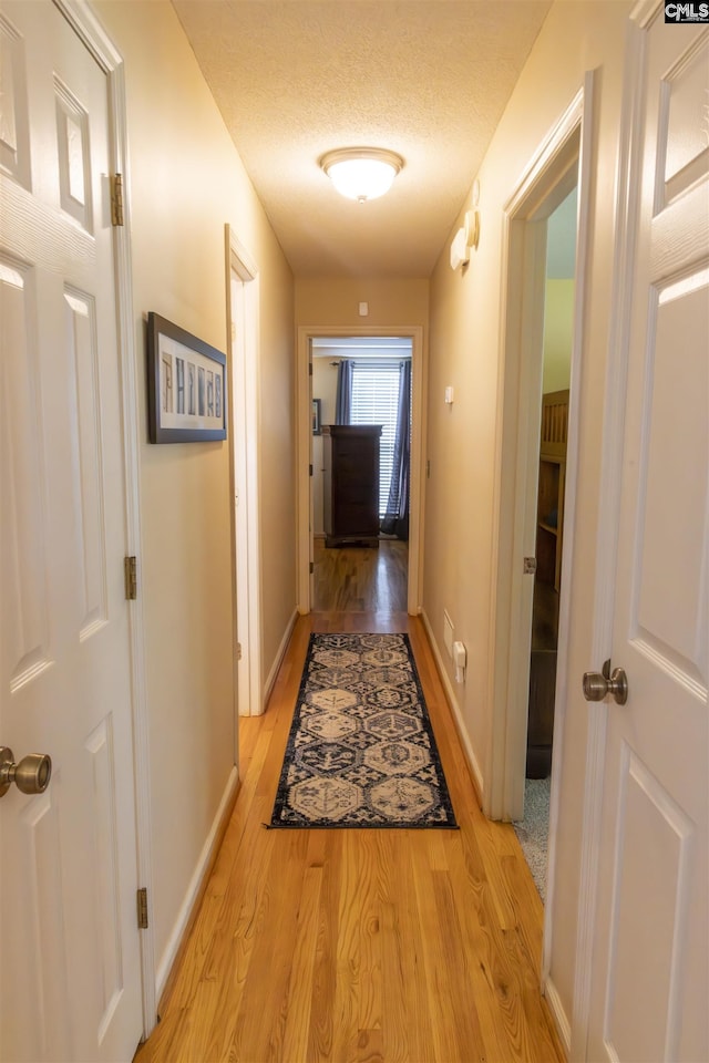 213 River Xing, Lexington, SC 29072 - hallway featuring light wood-style flooring, baseboards, and a textured ceiling