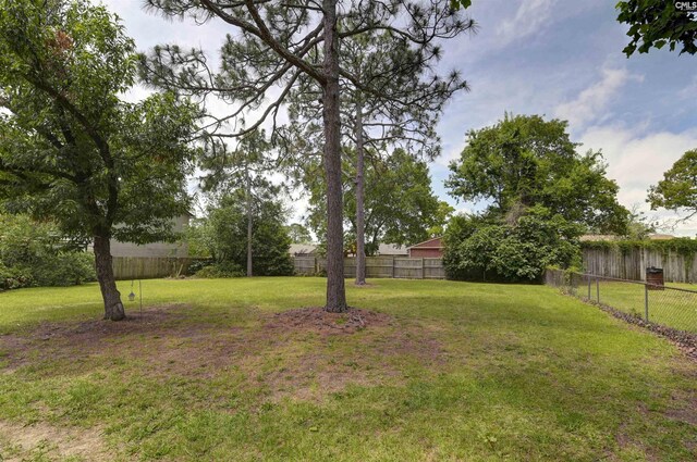 112 S Wrenwood Dr, Lexington, SC 29073 - view of yard