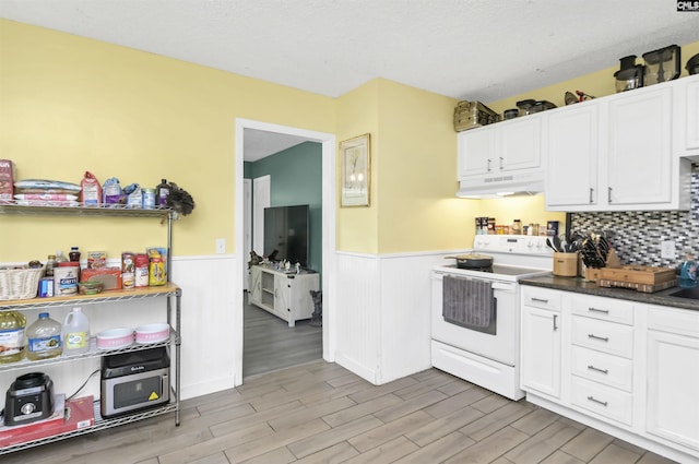 112 S Wrenwood Dr, Lexington, SC 29073 - kitchen with white range with electric cooktop, under cabinet range hood, wainscoting, light wood finished floors, and white cabinetry