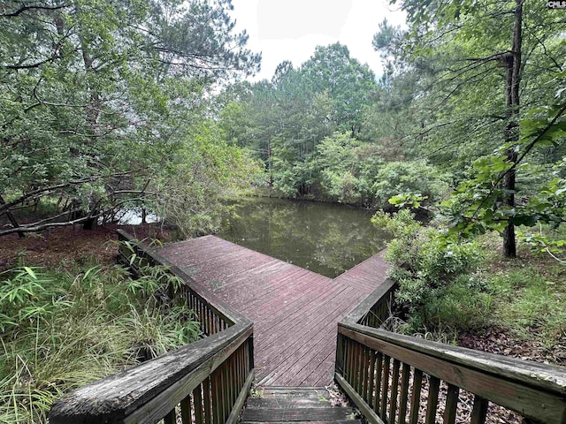 237 Peninsula Way, Columbia, SC 29229 - dock featuring a water view