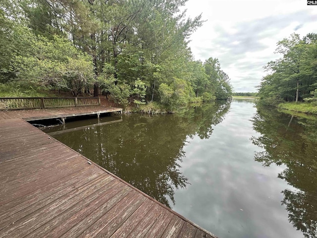 237 Peninsula Way, Columbia, SC 29229 - dock with a water view