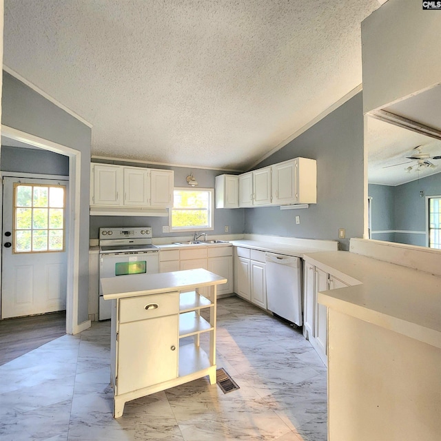 137 Breezy Bay Cir, Gilbert, SC 29054 - kitchen featuring white appliances, a textured ceiling, a sink, plenty of natural light, and vaulted ceiling