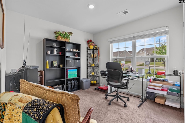 254 Sundew Rd, Elgin, SC 29045 - carpeted office space with recessed lighting