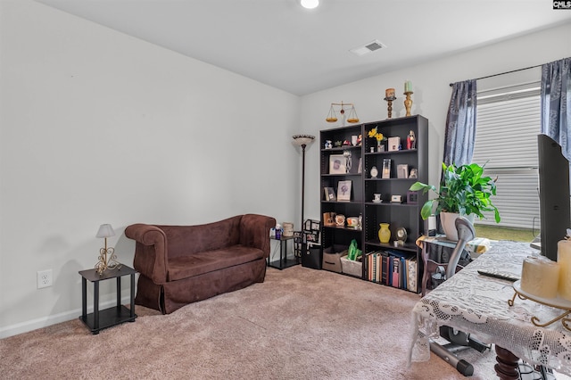 254 Sundew Rd, Elgin, SC 29045 - office featuring carpet and baseboards