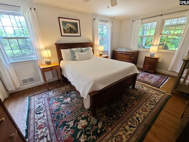 2003 Springdale Dr, Camden, SC 29020 - bedroom with multiple windows, wood finished floors, baseboards, and ceiling fan