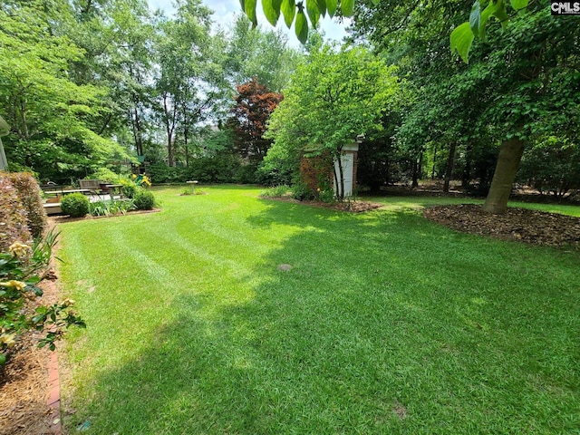 2003 Springdale Dr, Camden, SC 29020 - view of green lawn