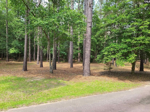 2003 Springdale Dr, Camden, SC 29020 - view of nature