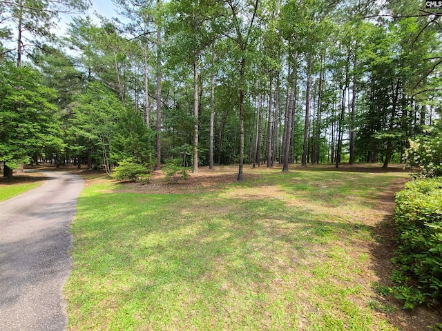 2003 Springdale Dr, Camden, SC 29020 - view of yard with driveway and a forest view