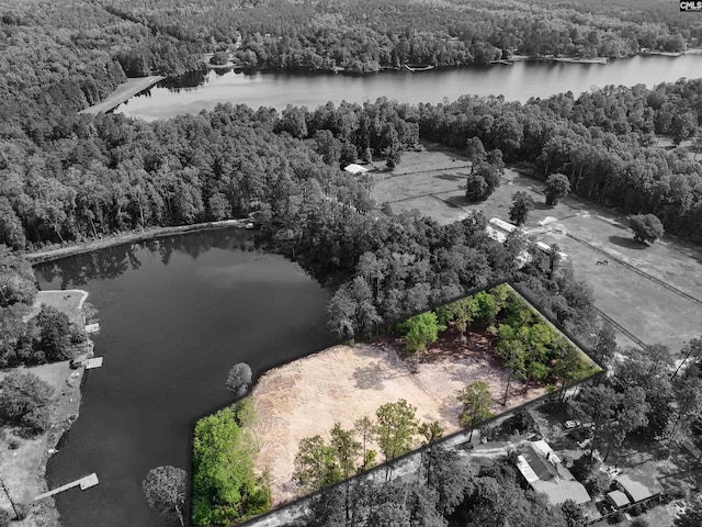 38 Brookwood Rd, Camden, SC 29020