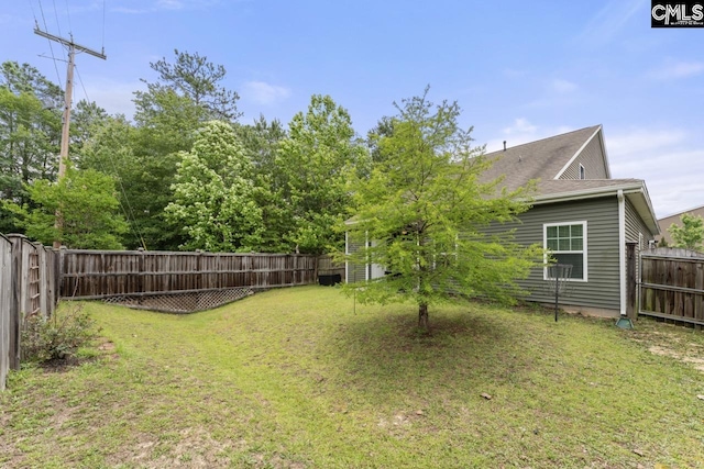 300 Brookland Way W, Columbia, SC 29169 - view of yard