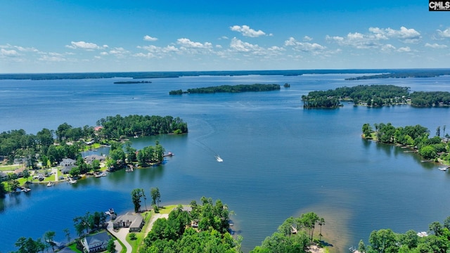 2752 Pawtucket Way, Chapin, SC 29036 - water view