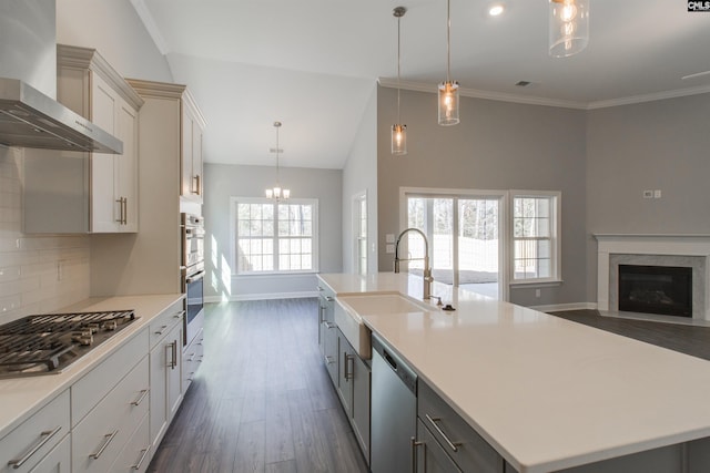 2752 Pawtucket Way, Chapin, SC 29036 - kitchen featuring wall chimney range hood, a sink, appliances with stainless steel finishes, dark wood-style floors, and vaulted ceiling