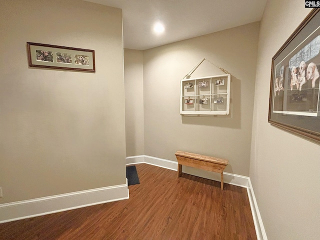 166 Sawney Creek Cir, Ridgeway, SC 29130 - hallway featuring wood finished floors, baseboards, and recessed lighting