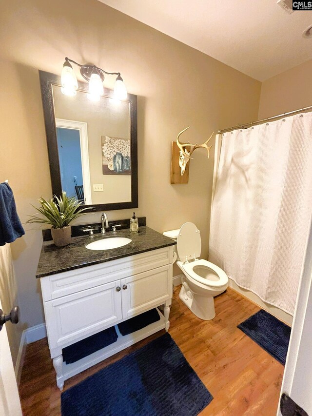 166 Sawney Creek Cir, Ridgeway, SC 29130 - bathroom with toilet, wood finished floors, vanity, and curtained shower