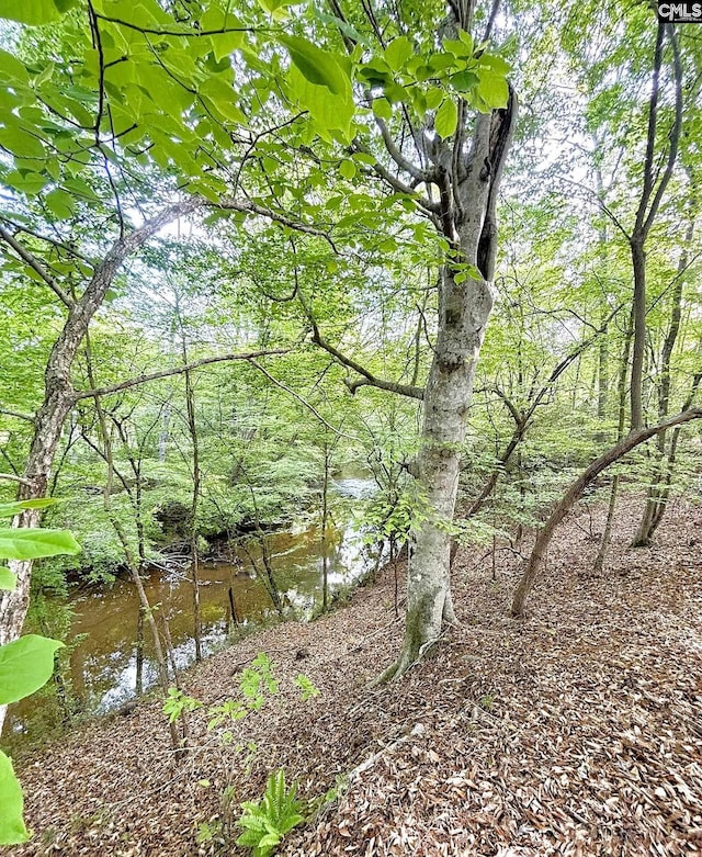 166 Sawney Creek Cir, Ridgeway, SC 29130 - view of undeveloped land