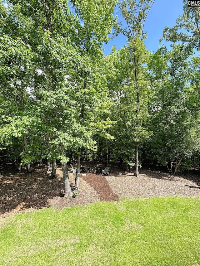 166 Sawney Creek Cir, Ridgeway, SC 29130 - view of green lawn