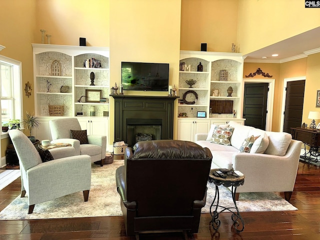 166 Sawney Creek Cir, Ridgeway, SC 29130 - living room with a high ceiling, dark wood-type flooring, crown molding, and a fireplace