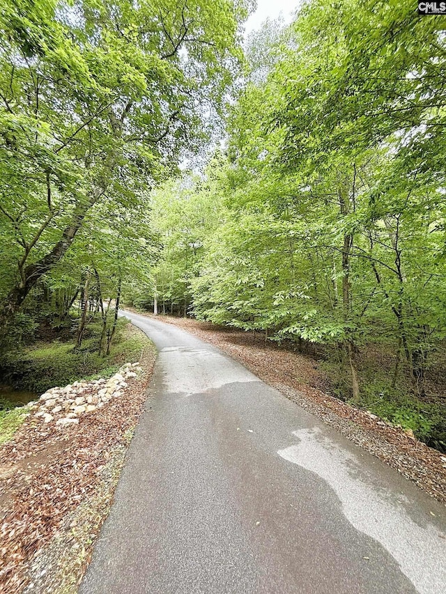166 Sawney Creek Cir, Ridgeway, SC 29130 - view of street featuring a forest view