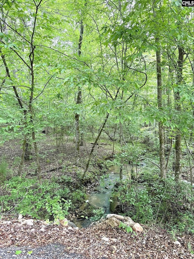 166 Sawney Creek Cir, Ridgeway, SC 29130 - view of tree filled area