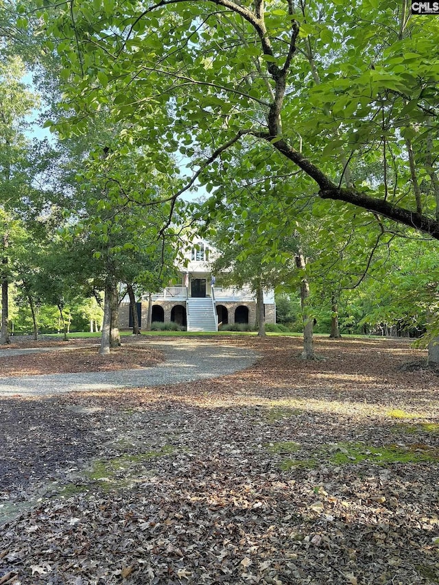 166 Sawney Creek Cir, Ridgeway, SC 29130 - view of obstructed view of property