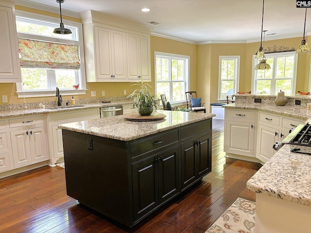 166 Sawney Creek Cir, Ridgeway, SC 29130 - kitchen with dishwasher, dark wood-style flooring, healthy amount of natural light, crown molding, and recessed lighting