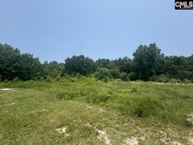 Mossborough Dr Unit 97, West Columbia, SC 29073