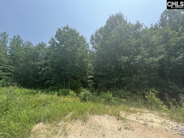 Mossborough Dr Unit 97, West Columbia, SC 29073