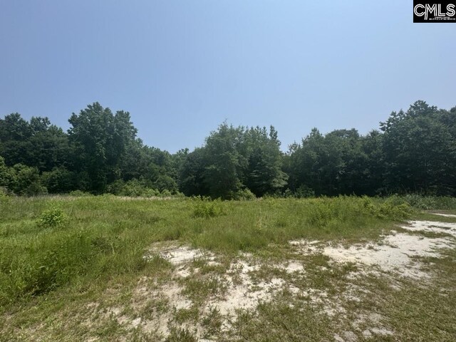 Mossborough Dr Unit 97, West Columbia, SC 29073