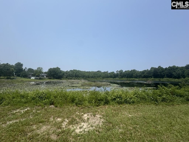 Mossborough Dr Unit 97, West Columbia, SC 29073