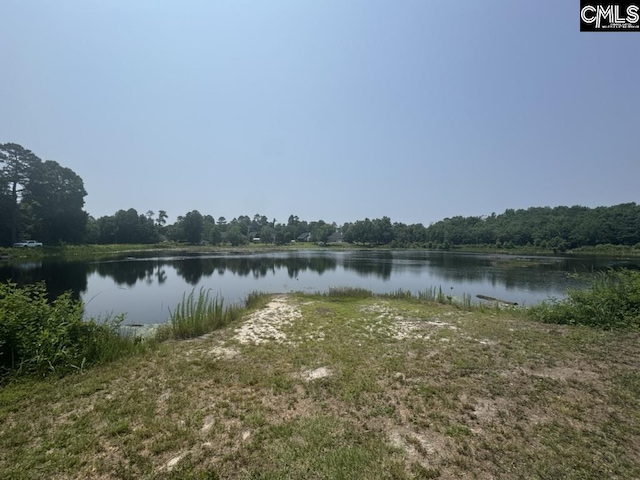 Mossborough Dr Unit 97, West Columbia, SC 29073