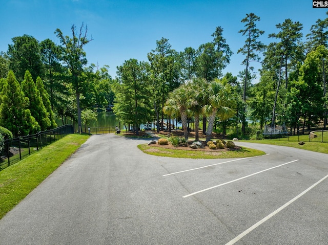 2351 Hadley Xing, Chapin, SC 29036 - view of road with view of wooded area