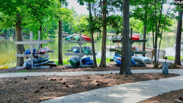 2351 Hadley Xing, Chapin, SC 29036 - view of property's community featuring a boat dock