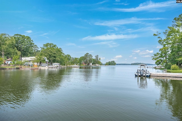 1620 Deep Cove Ln, Gilbert, SC 29054 - water view with a floating dock