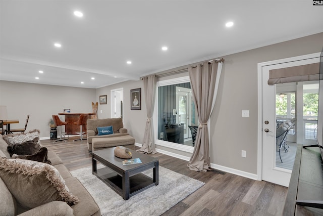 1620 Deep Cove Ln, Gilbert, SC 29054 - living area featuring wood finished floors, recessed lighting, baseboards, and a dry bar