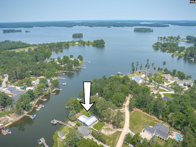 1620 Deep Cove Ln, Gilbert, SC 29054 - aerial view of property's location featuring a large body of water