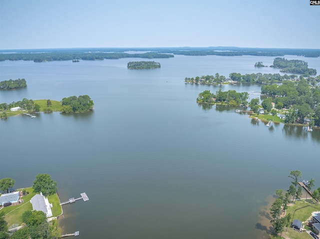 1620 Deep Cove Ln, Gilbert, SC 29054 - water view