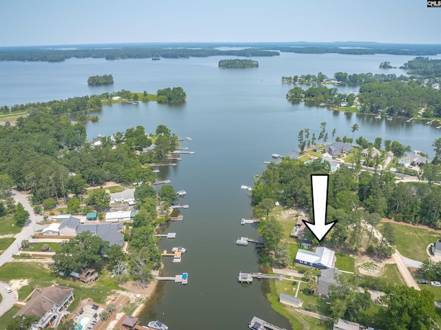 1620 Deep Cove Ln, Gilbert, SC 29054 - aerial view of property's location with a large body of water