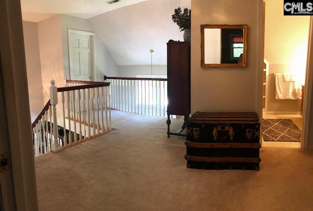 325 Pond View Ln, Lexington, SC 29072 - hallway with carpet floors and lofted ceiling